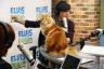 A rajongók támogatják Bobby Flayt, miután bejelentette Nacho macskája halálát