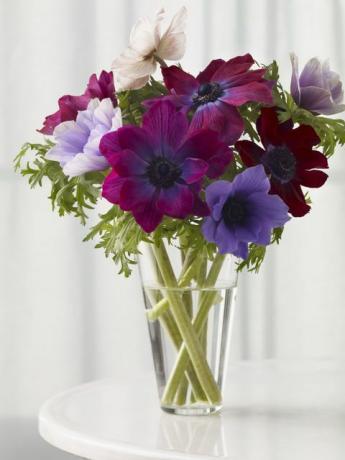Ανενωμένα λουλούδια σε γυάλινο βάζο