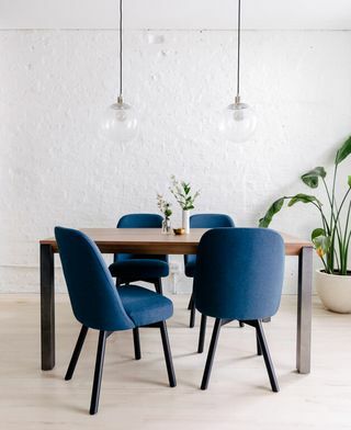 Blå, möbler, matsal, stol, rum, bord, produkt, inredningsdesign, koboltblå, turkos, 