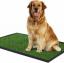 DoggieLawn -prenumerationslådan levererar en bakgård så att din hund kan gå till badrummet inomhus