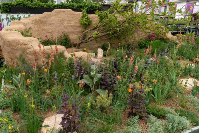 Выставка цветов в Челси 2023 — все о садовых растениях