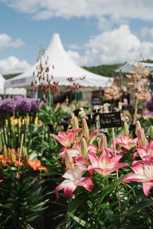 Exposition florale de Chatsworth 2019