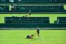 Hvor let er det at opnå den perfekte Wimbledon tennisplæne i din egen have?