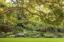 Внутри сада королевы: «Букингемский дворец: королевский сад» предлагает идеи и советы от главного садовника Букингемского дворца