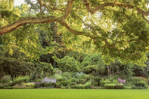 il giardino di buckingham palace
