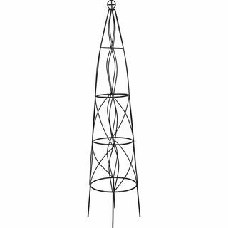 Jern obelisk espalier