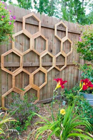 โครงรังผึ้งบนรั้วไม้
