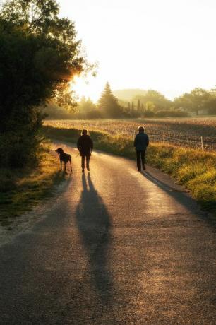 deux femmes promenant un chien au lever du soleil