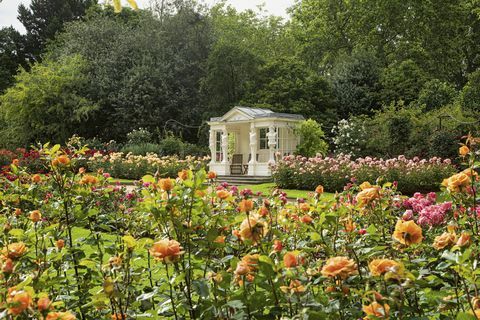 zahrady buckinghamského paláce odhalené v nové knize