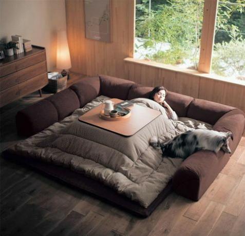 Soba, les, notranje oblikovanje, tla, tla, dom, dnevna soba, kavč, pohištvo, stena, 