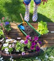 Tuinieren verhoogt het welzijn net zo goed als lichaamsbeweging, zegt RHS
