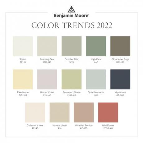 Benjamin moore paleta trendov barve leta 2022