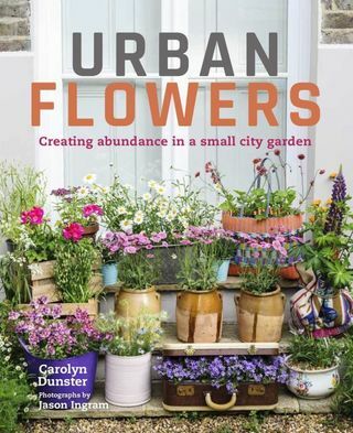 Flores urbanas de Carolyn Dunster