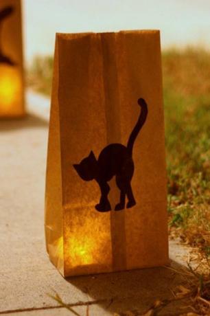 pungă de hârtie luminată cu o pisică neagră pe ea