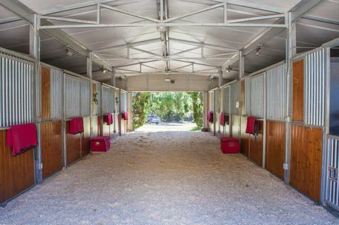 Oprah Winfrey California Horse Farm