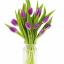 Los festivales de tulipanes se celebrarán en todo Estados Unidos esta primavera: aquí están los mejores