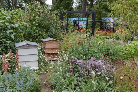 Ζώνη μετριασμού κήπων rhs cop26 σχεδιασμένη από τη marie louise agius, balston agius με χαρακτηριστικό κήπο rhs chelsea flower show 2021 stand no 327