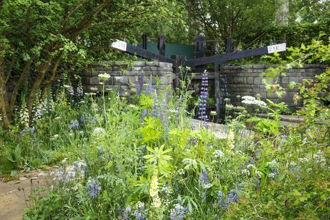 Chelsea Flower Show 2019 - Witamy w ogrodzie Yorkshire autorstwa Marka Gregory'ego