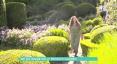 Феновете не могат да повярват колко зашеметяваща е градината на Кели Брук