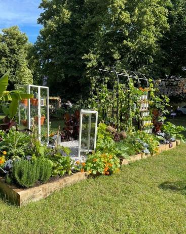 она выращивает овощи съедобные вставай и расти огород сад дворца хэмптон-корт фестиваль садов 2021