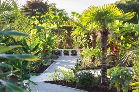 RHS Garden Wisley - jardín exótico