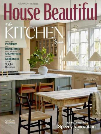 gražus namo viršelis, kuriame pavaizduota virtuvė