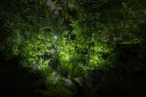 Chelsea Flower Show - Back to Nature Garden de Kate Middleton por la noche, iluminación de Philips