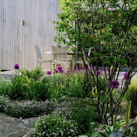 Sue Townsends ‘Samphire’ hage, vinner av Beth Chatto -prisen for beste Eco Garden
