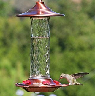Comedero de cristal para colibríes