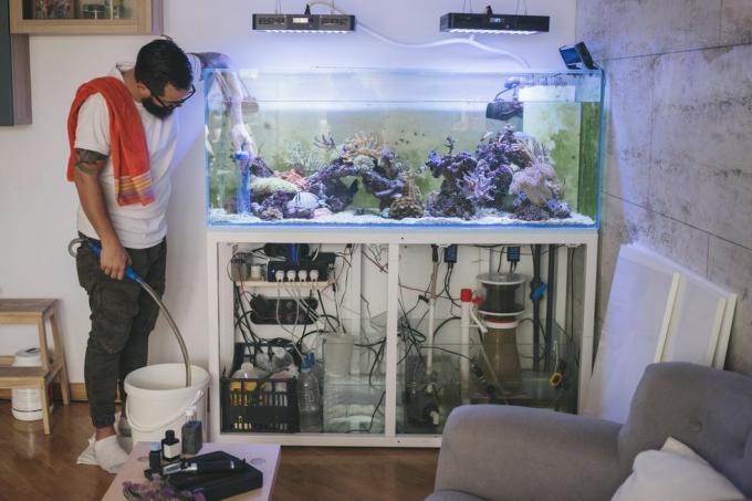 mantenimiento de tanques de arrecife