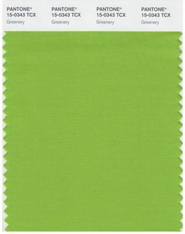 Pantone Greenery-kleur van het jaar 2017
