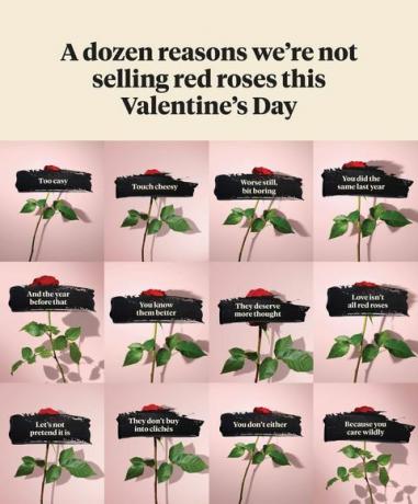 çiçek vahşi sevgililer günü kampanyası